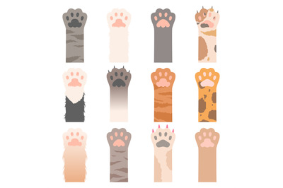 Paw cats. Cute animals hands wild cats claws vector cartoon characters