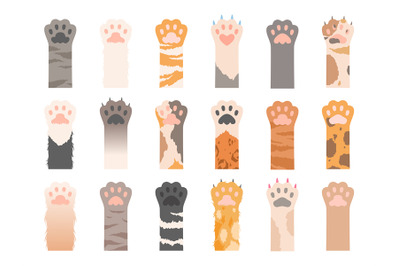 Pets paw. Wild cats different paws with claws vector collection