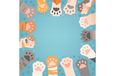 Cats paw background. Funny domestic kitten pets or wild animals differ