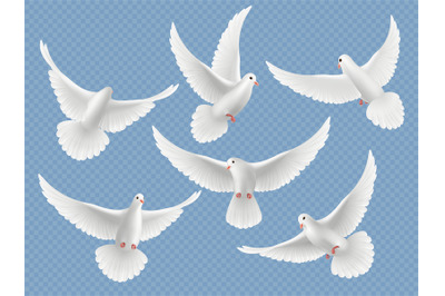 Realistic doves. White freedom flying birds pigeons religion symbols v