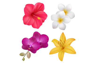 Tropical flowers. Exotic nature plants floral realistic collection of