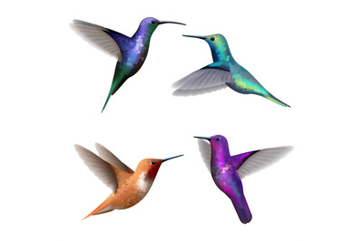 Hummingbirds. Exotic little colored beautiful flying birds colibri vec