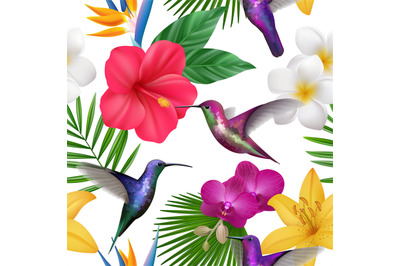 Tropical pattern. Colibri with exotic flowers flying little hummingbir