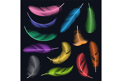 Colored feathers. Eye catcher native american decoration vector realis