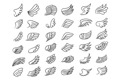 Feather wings. Freedom symbols fly elements ornamental wings of birds