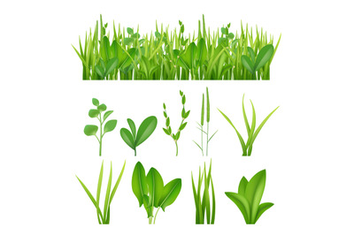 Grass realistic. Ecology set green herbs leaves plants lifes meadows v