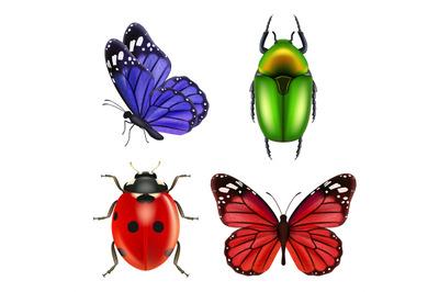 Realistic insects. Butterfly bugs ladybird ant vector collection of co