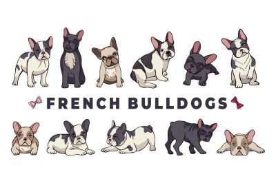 French bulldogs. Vector bulldog set. Funny cartoon puppy isolated on w