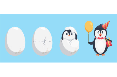 Penguin egg. Birth stages of penguin. Cute cartoon animal newborn vect