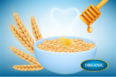 Organic oatmeal. Realistic bowl of porridge with honey. Hot oatmeal wi