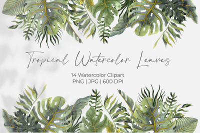 Tropical watercolor leaves png clipart. Watercolor painting