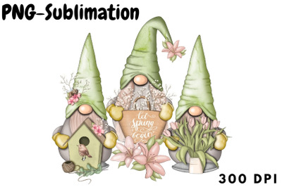 Spring Gnomes Png Sublimation