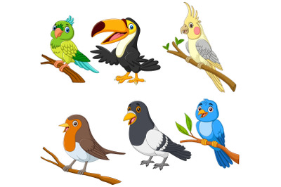 Set of Six Exotic Tropical Birds Cartoon