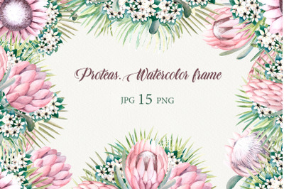 Protea flowers. Watercolor frames.