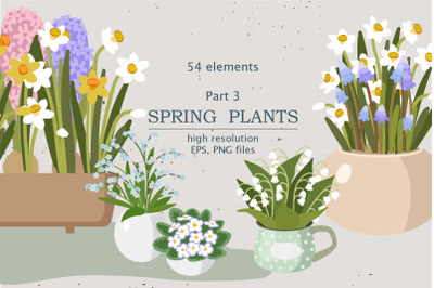 Spring Indoor Plants | Part 3