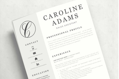 Professional Resume for Sales Assistant. Creative Resume With Logo