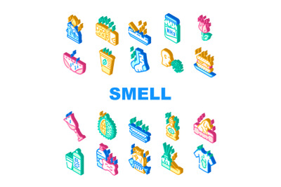 Smell Feel And Sense Collection Icons Set Vector