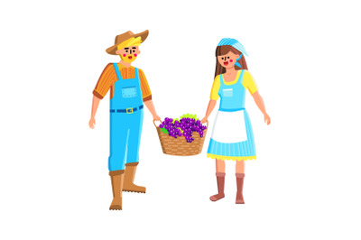 Farmers Couple Harvesting Grape Together Vector