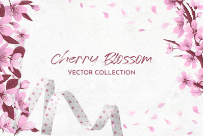 Cherry Blossom Vector Collection