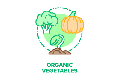 Organic Vegetables Bio Food Vector Concept Color