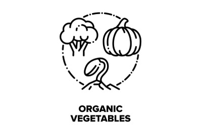 Organic Vegetables Bio Food Vector Concept Black Illustrations