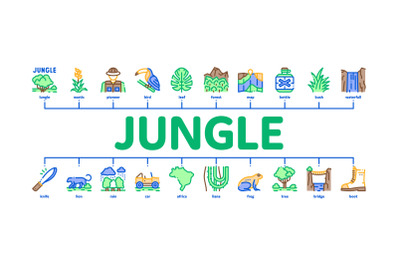 Jungle Tropical Forest Minimal Infographic Banner Vector Flat