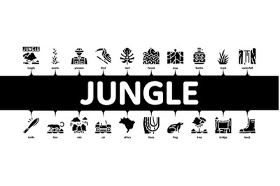 Jungle Tropical Forest Minimal Infographic Banner Vector