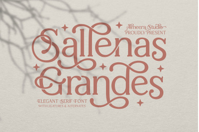 Sallenas Grandes|Elegant Serif Font