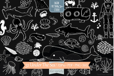 Under the Sea White | Hand Drawn Fish, Ocean Life, Octopus, Shell
