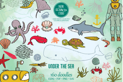 Under the Sea Color | Hand Drawn Fish, Ocean Life, Octopus, Shell