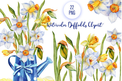 Daffodils watercolor blue flowers clipart