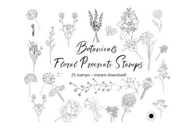 Procreate Floral Botanical Stamps X 25