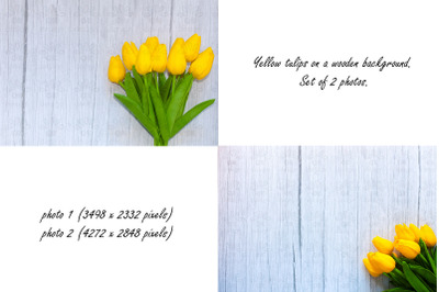 Yellow tulips on a wooden background. Set of 2 photos.