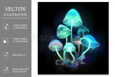 Glowing Blue Toadstools