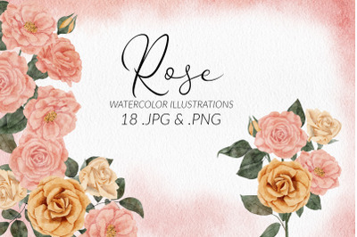 18 Watercolor Rose Flower Illustration Set
