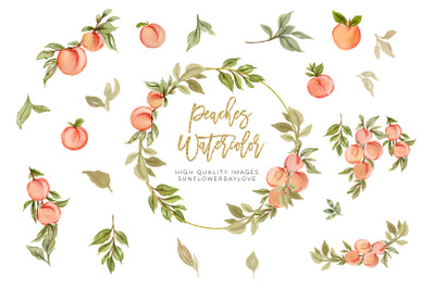 Peaches Watercolor Elements Clipart, Peach fruit clipart, Peach leaves