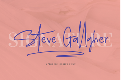 Steve Gallagher