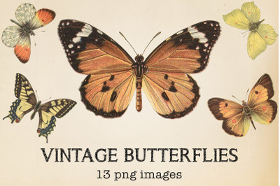 Vintage Butterflies Clipart