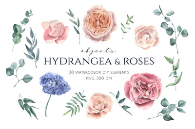Hydrangea and Roses Watercolor Set