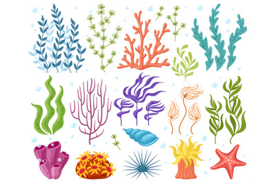 Cartoon ocean plants. Anemones, corals and seaweed, marine kelp, aquar