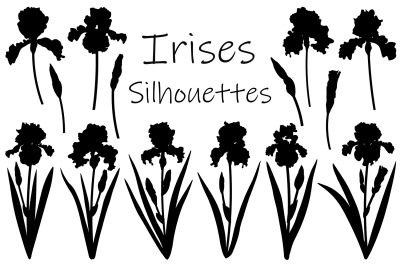 Flowers Irises silhouettes vector. Irises SVG. Flowers SVG