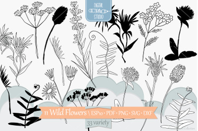 Wild Flowers | Hand Drawn Meadow Plants, Leaves, Fern