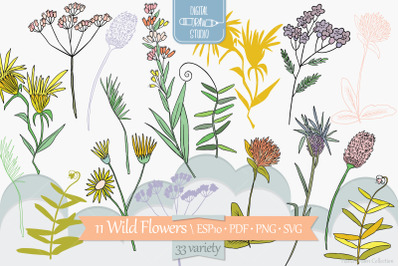 Colored Wild Flowers | Hand Drawn Meadow Plants, Leaves, Fern