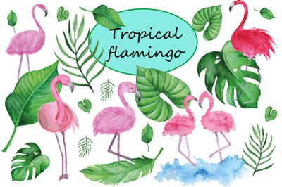 Watercolor clipart Tropical flamingo. Hand draw