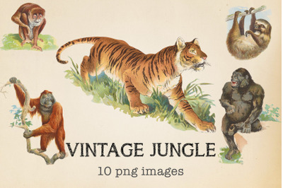 Vintage Jungle Animals