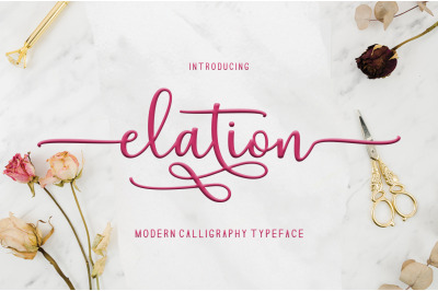 Elation Script Font Duo