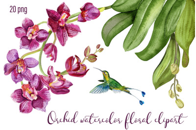 Orchid watercolor floral digital clipart, tropical art print