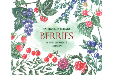 Watercolor berries clipart. Blueberries, strawberries, cherries