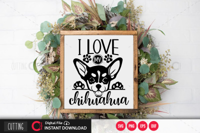 I love my chihuahua svg