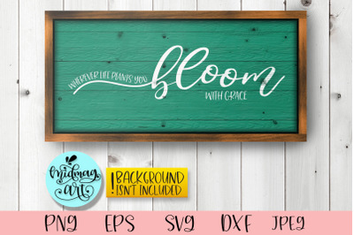 Spring wood sign svg